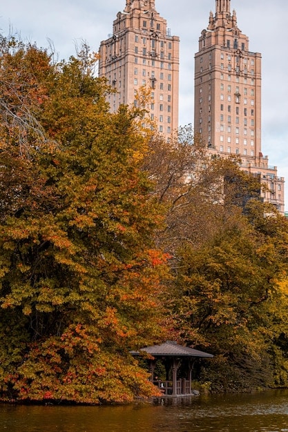 A picturesque view of Central Park in New York City during autumn, with vibrant foliage and a serene atmosphere, subtly referencing a scene from the 