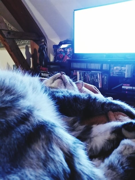 K-Drama Streaming in the US: Legal Options to Avoid Piracy in 2025