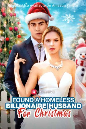 Found A Homeless Billionaire Husband for Christmas